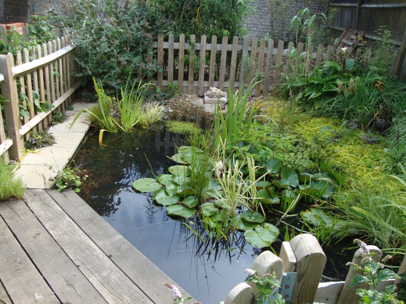 Seaford Community Garden